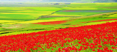 北京服裝學院與翁布里亞大區成功合作